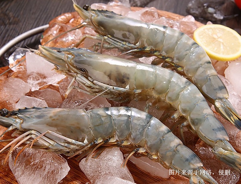 緬甸冷凍黑虎蝦進口清關資料到廣州南沙水產品案例